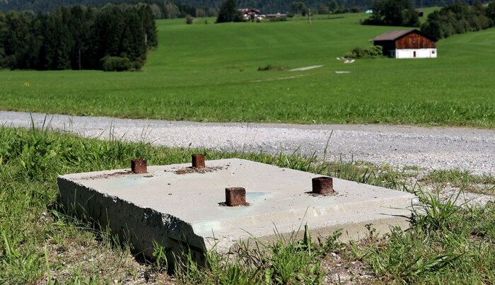 Übrig sind nur mehr Reste der Fohlen-Beine
