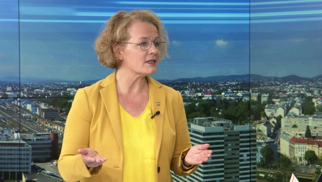 Landesrätin Christiane Teschl-Hofmeister ist in Niederösterreich für Bildung, Soziales und Wohnen zuständig. (Bild: krone.tv)