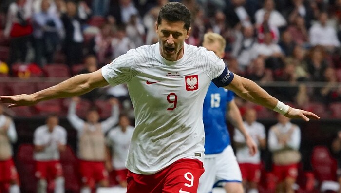 Lewandowski durfte im Nationaldress zuletzt selten jubeln.
