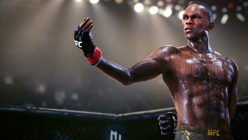 Neue flüssige Physik- und Partikelsysteme lassen Blut und Schweiß im Octagon fließen. (Bild: EA Sports)