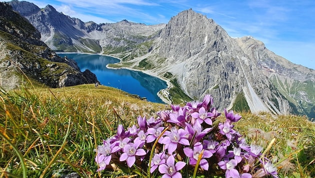 Eine Wanderung auf den Schafgafall bietet alles, was das Herz eines Bergfexes begehrt.