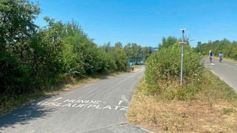 Die Hundeauslaufzone befindet sich zwischen Stadlauer Ostbahnbrücke und Praterbrücke, direkt am Ufer der Neuen Donau, von Kilometer 8,5 bis 9,1 und ist 21.000 Quadratmeter groß. Die FPÖ fordert dort jetzt ein Radlerverbot. (Bild: FPÖ/Toni Mahdalik)