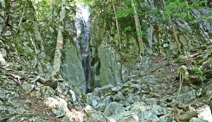 Der Unfall passierte in der Nähe des Hohenzoller Wasserfalls in Bad Ischl.