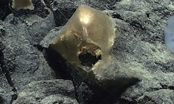 Vor Alaska haben Forscher auf dem Meeresgrund ein mysteriöses rundes „goldenes Ei“ (Bild) ...