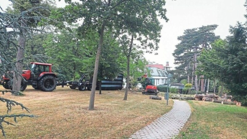 Bagger rückten an und machten die Bäume platt. (Bild: zVg)