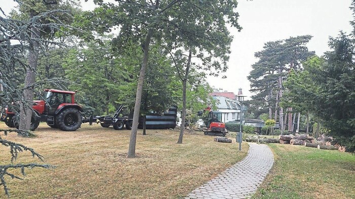 Bagger rückten an und machten die Bäume platt.