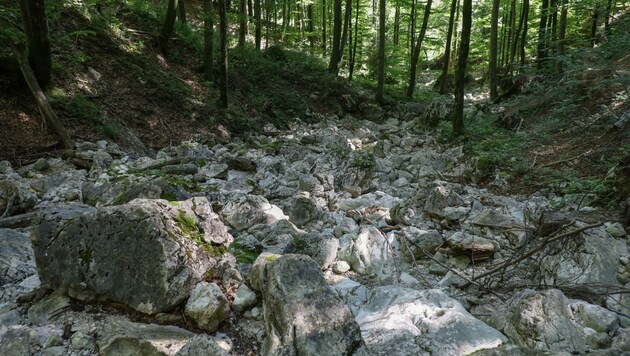 Der tödliche Unfall geschah im Bereich eines Bachbettes oberhalb des Hohenzeller Wasserfalls. (Bild: Lauber/laumat.at Matthias)