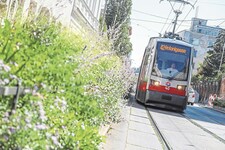 In der Kreuzgasse ist kaum Platz zum Ausweichen. (Bild: PID/Christian Fürthner)