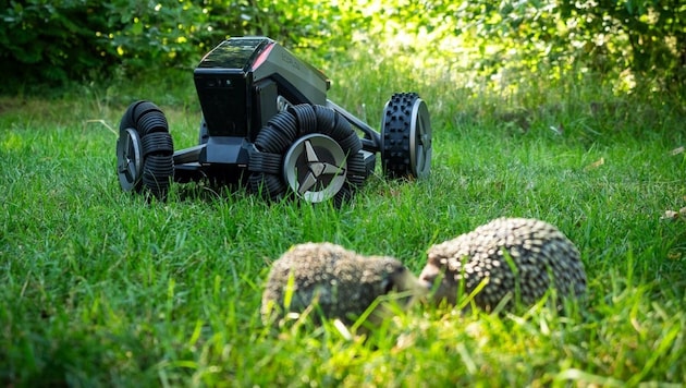 Von den sieben Geräten mit zusätzlicher Sensorik erkannten lediglich zwei auf 100 Prozent der Prüffahrten die Igelattrappen und drehten ab. (Bild: c‘t)