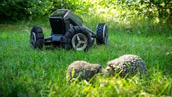 Von den sieben Geräten mit zusätzlicher Sensorik erkannten lediglich zwei auf 100 Prozent der Prüffahrten die Igelattrappen und drehten ab. (Bild: c‘t)