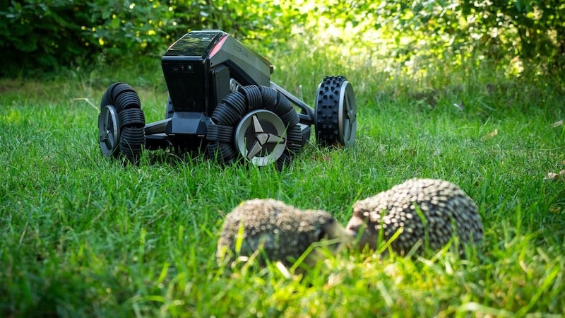 Vorsicht gilt allerdings beim Einsatz eines Mähroboters. Er kann den Igel beim Gartenbesuch schwer verletzen.  (Bild: c‘t)