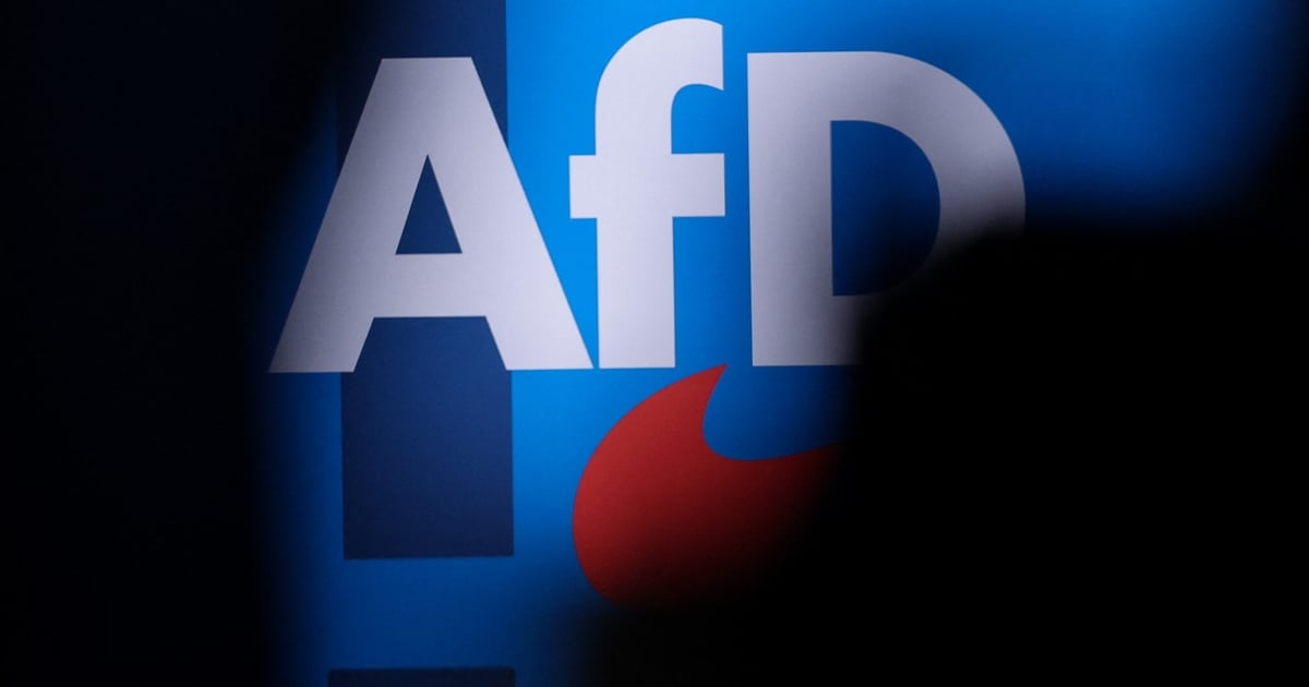 EU-Wahl-Umfrage: - AfD Ist Doppelt So Stark Wie Im Jahr 2019 | Krone.at