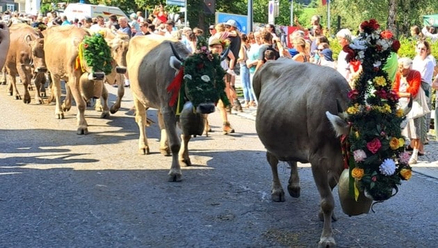Als „Milchstöfleri“ wird jene Kuh bezeichnet, die den Sommer über die meiste Milch gegeben hat. Diese ist immer am üppigsten geschmückt. (Bild: Rubina Bergauer)
