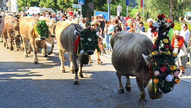 Als „Milchstöfleri“ wird jene Kuh bezeichnet, die den Sommer über die meiste Milch gegeben hat. Diese ist immer am üppigsten geschmückt. (Bild: Rubina Bergauer)