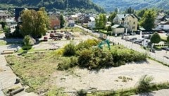 Für den Bau eines Hotels mussten in Bad Ischl 17 Bäume gefällt werden. (Bild: ZVG)