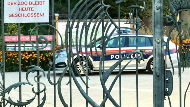 Der tragische Unfall ereignete sich am Dienstag im Salzburger Zoo. (Bild: APA/FRANZ NEUMAYR)