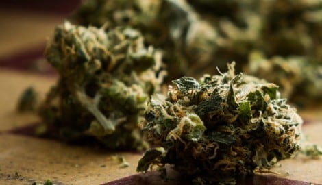 Cannabis, Joints und Haschkekse wurden entdeckt. (Symbolbild)