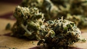 Cannabis, Joints und Haschkekse wurden entdeckt. (Symbolbild)