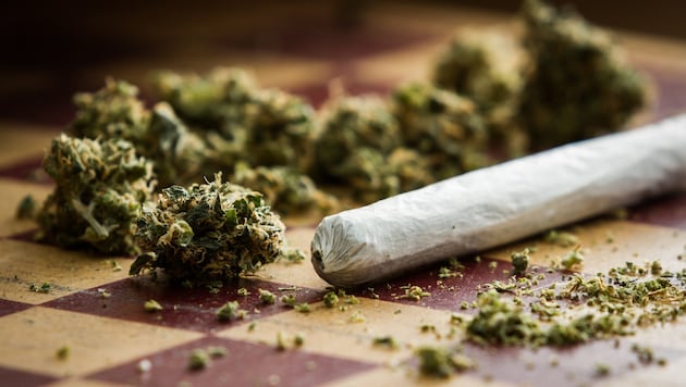 Die Männer stehen im Verdacht mit Cannabis gedealt zu haben. (Bild: stock.adobe.com)