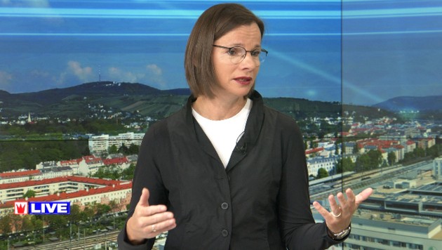 Politikwissenschaftlerin Gerda Füricht-Fiegl im krone.tv-Talk (Bild: krone.tv)