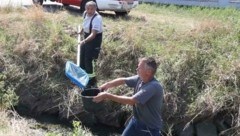 Florianis und Wasserwerks-Mitarbeiter hatten die traurige Pflicht, die toten Fische einzusammeln. (Bild: Judt Reinhard)