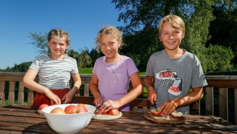 Neben den Kindern stehen auch die Äpfel heuer im Mittelpunkt. (Bild: Tschepp Markus)