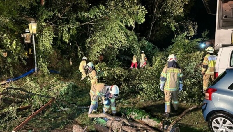 In Reith im Alpbachtal wurden durch den Sturm mehrere Bäume entwurzelt. (Bild: zoom.tirol)