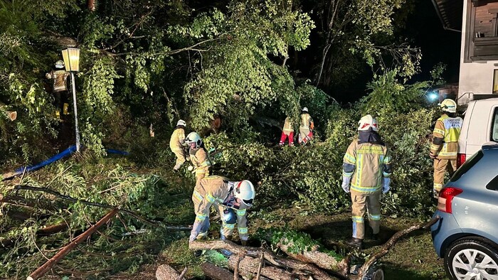 In Reith im Alpbachtal wurden durch den Sturm mehrere Bäume entwurzelt.