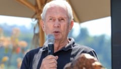 Helmut Marko (Bild: GEPA pictures)