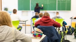 Immer mehr Schülerinnen und Schüler haben in Oberösterreich sonderpädagogischem Förderbedarf.  (Bild: APA/dpa/Philipp von Ditfurth)