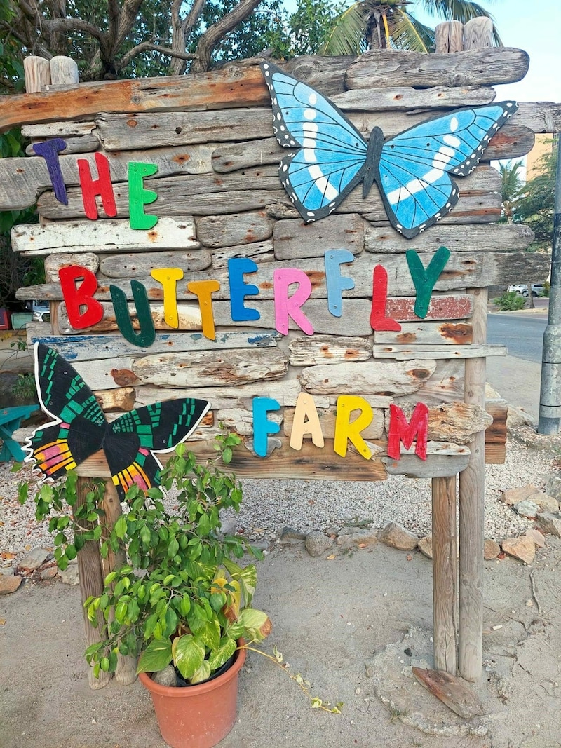 Butterly Farm (Bild: Sonja Jakubowics)