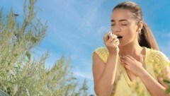 Derzeit haben Ragweed und Beifuß Saison, mit den Pollen der beiden Pfllanzen ist noch bis ...