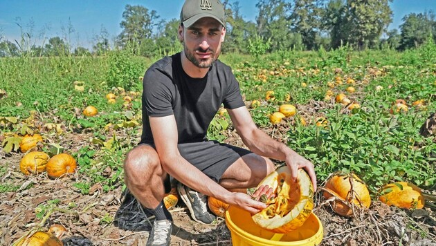 Landwirt Christoph Schantl und sein Vater Alois sind mit der Ernte schon durch und haben 30 Prozent weniger Ertrag. (Bild: Pail Sepp)