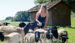 Schafe füttern, Heuwenden oder Traktorfahren - Heidi Riedlbauer vom Bauernhof Wastlbauer aus Seeham erreicht auf ihrem Instagram-Kanal @leben_am_hof 59.000 „Follower“. (Bild: Tschepp Markus)
