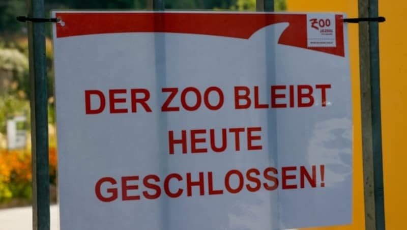 Der Zoo sperrt am Freitag wieder auf. (Bild: Tschepp Markus)