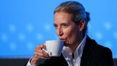 Die breite Unzufriedenheit mit der Ampel-Koalition in Berlin spielt der AfD von Alice Weidel in die Hände. (Bild: APA/afp/Ronny HARTMANN)