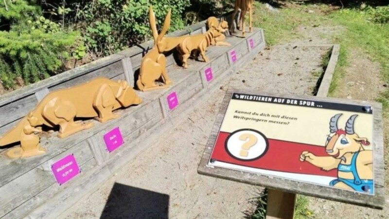 Die Stationen des Lehrpfads lassen bei den Kids keine Langweile aufkommen. (Bild: Peter Freiberger)