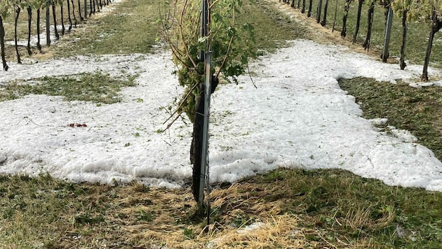 1500 Hektar in Niederösterreich wurden vom Hagel beschädigt. (Bild: Molnar Attila)