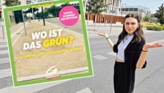 Wo ist das Grün, rätseln die Grünen - eine Frage, die sich die Partei wohl selbst stellen muss (Bild: Martin Jöchl, Grüne Donaustadt, Krone KREATIV)