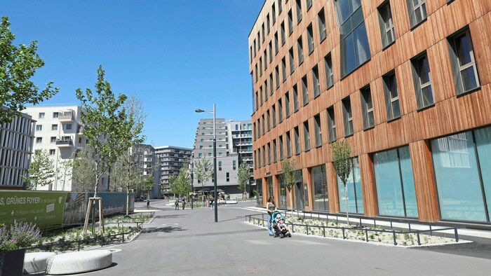 Teile der Seestadt wurden erst nachträglich entsiegelt. Den Steuerzahler kostete das ein ...