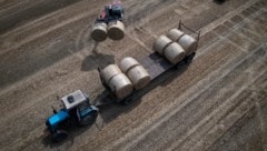 Ein Traktor sammelt Stroh auf einem Feld in der Region Kiew, Ukraine. (Bild: ASSOCIATED PRESS)