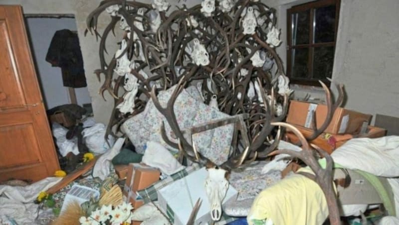 In seinem Bunker versteckte Alois H. 305 Waffen und Hunderte Trophäen. (Bild: LPD NÖ)