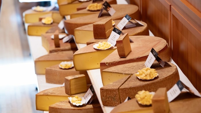 Mehr Käse geht eigentlich nicht.