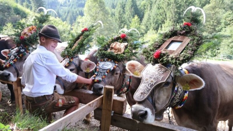 Fürs „Aufbuschen“ warten die Tiere nebeneinander. (Bild: Christof Birbaumer)