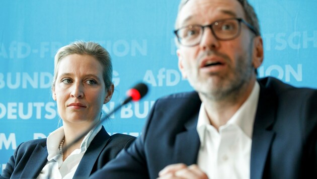 Ähnliche Ansichten, ähnliche Methoden: AfD-Chefin Alice Weidel und FPÖ-Obmann Herbert Kickl (Bild: APA/dpa/Carsten Koall)
