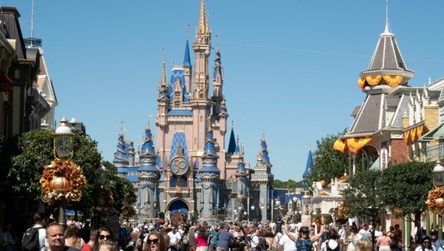 Der Freizeitpark Disney World musste wegen des tierischen Vorfalls teilweise gesperrt werden. (Bild: AFP)