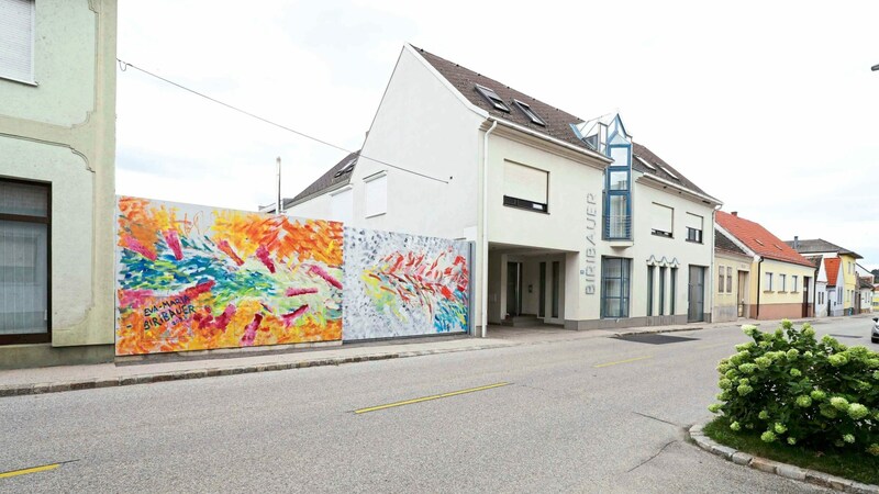 Unter dem Motto „Kunstflitzer“ bemalt Biribauer auch Autos. (Bild: Judt Reinhard)