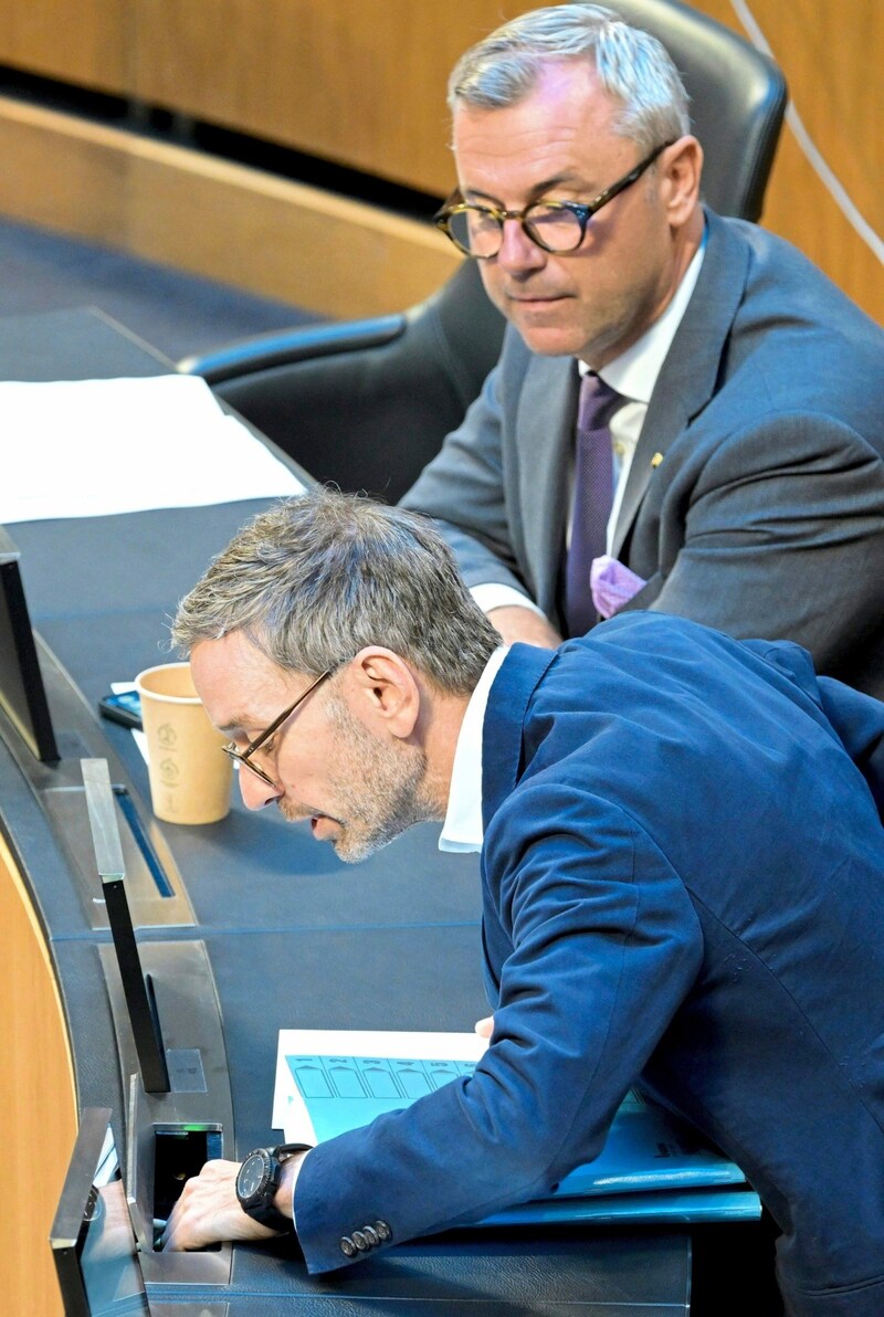 Kickl „gesteht den Sozialisten Lehrnfähigkeit zu“. (Bild: APA/picturedesk.com/Roland Schlager)