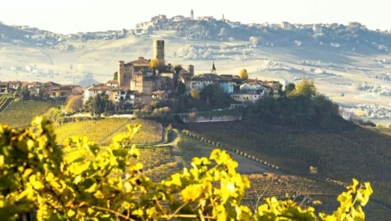 UNESCO-Weltkulturerbe - die Weinlandschaften Langhe-Roero und Monferrato! (Bild: Francesco Bergamaschi)