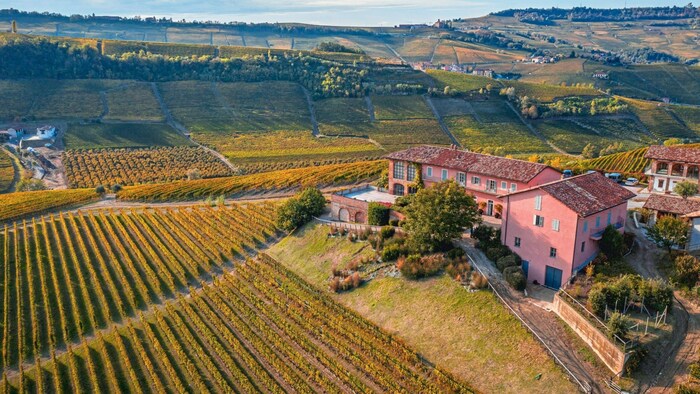 Weingut Prunotto